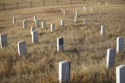 Little Bighorn